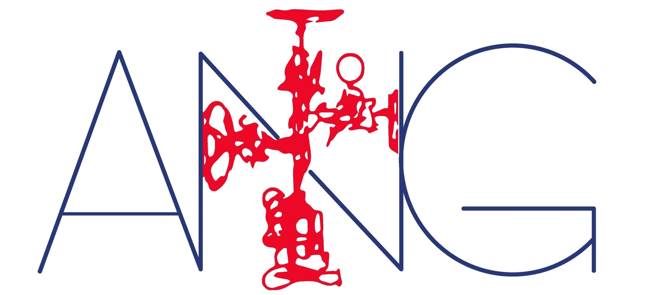 Home Page [anginc.net]